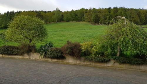 Fewo Kretschmann - Foto 4, Garden view