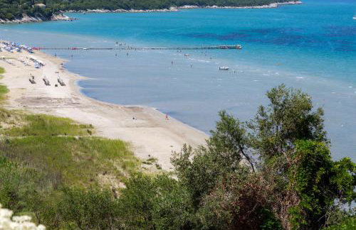 Alisachni Apartments 2nd Floor - Photo 39