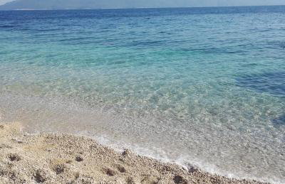 Diana Apartman - Photo 31