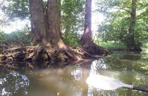 Doppelzimmer im Spreewald - Foto 15