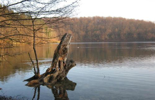 Apartments Božić - Foto 62