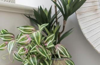 Edgewater - Bracklesham Bay - Foto 28