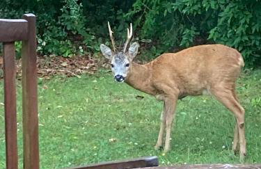Ferienhaus Karlsminde - Foto 14