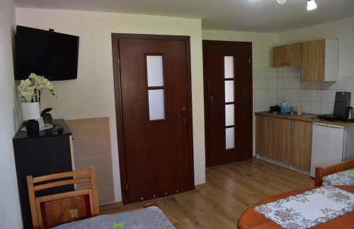 Pokoje pod Śnieżnicą - Foto 19