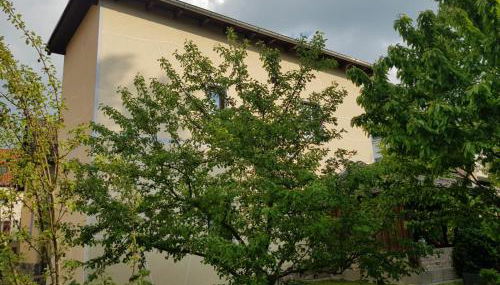 Ferienwohnung am Zeulenrodaer Meer - Photo 5, Garden