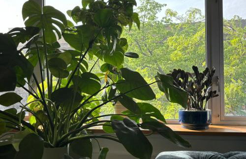 4 PEEPS Apt INWILLIAMSBURG - Foto 15