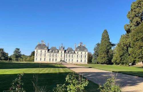 Les oiseaux du paradis - Foto 23