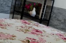 Casa Aeroporto - UFAL - Photo 7