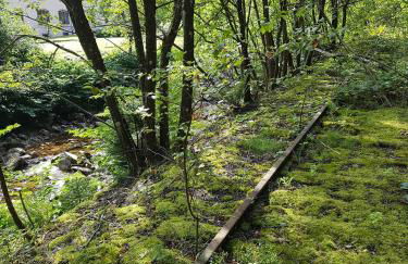 Le petit Kichon - Foto 19