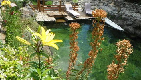 La Cabane du Bandit - Foto 5