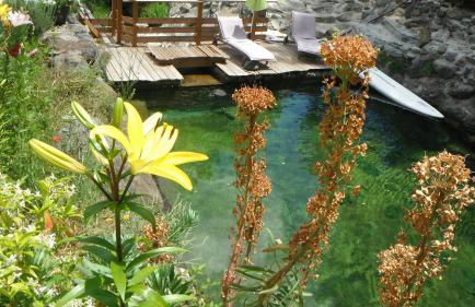 La Cabane du Bandit - Foto 5