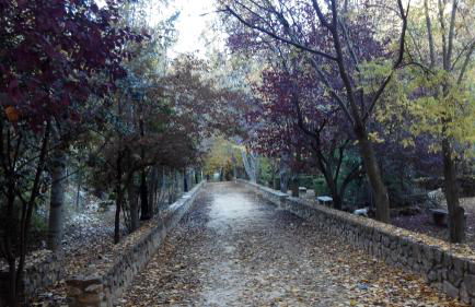 CASA DEL VIDRIO - Foto 41