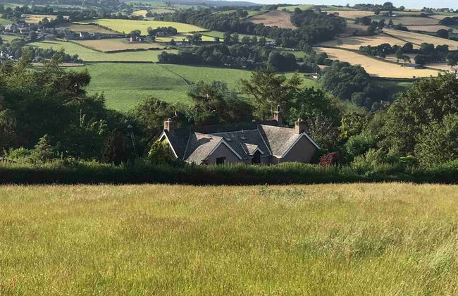 Y Twlc Mochyn - Ecofriendly - Farm Animals - Foto 8