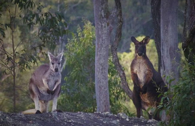 Somewhere Unique - Foto 24