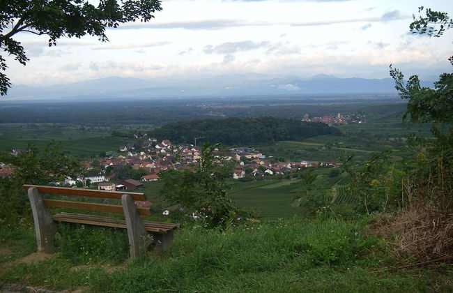 Ferienwohnung in Bischoffingen - Foto 39