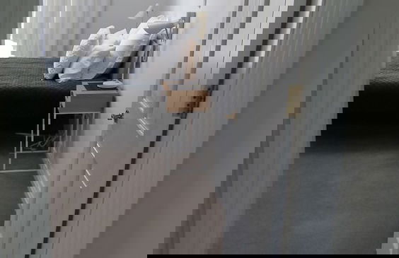 U Suites on Courtenay - Photo 17