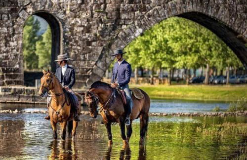 Casa das Branquinhas - Férias no Minho com piscina! - Foto 46