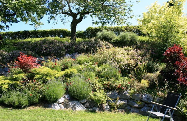 Apartment in Willingen Near Ski Slopes - Photo 7