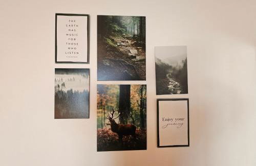 Haus Waldesruh, 3 Ferienwohnungen - Foto 54