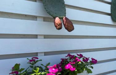 Villa Maderna - Foto 65