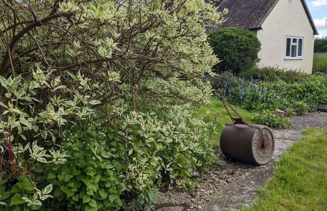 Cottage-fireplace-garden-petsok-3br-parking - Foto 18