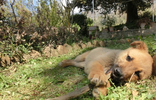 Agriturismo Cuca - Photo 15