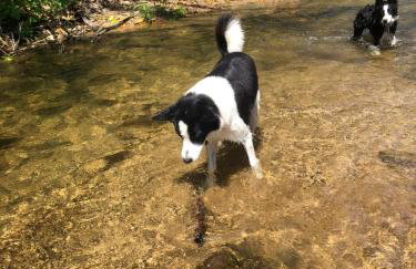 Casa Cachoeira Paraty - Foto 21