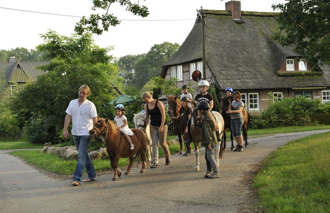 Ferienhof Cohrs - Ferienhäuser - Photo 19
