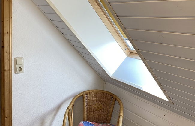 Ostseekrabbe - Foto 13