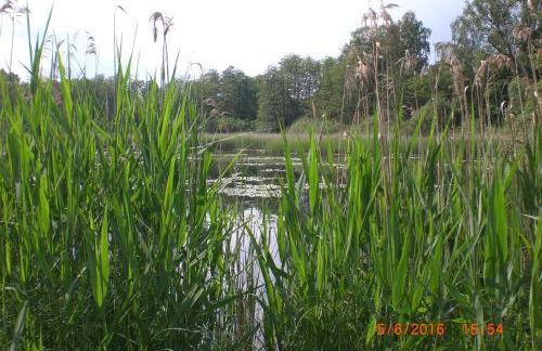 Ferienhaus am Geiersberg - Foto 41