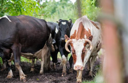 Biohof Medewege - Foto 50