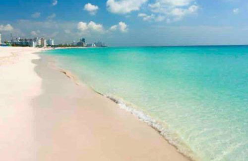 Relax 523 - Photo 55