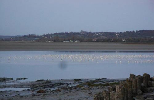 Cabane de douanier en baie du Mont Saint Michel hébergement insolite - Foto 52