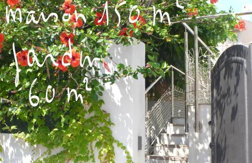 Les galets bleus de Calvi - Foto 19