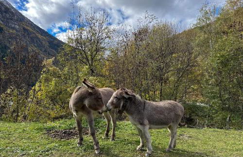 CozyLoge, Orelle & Les 3 vallées - Foto 20