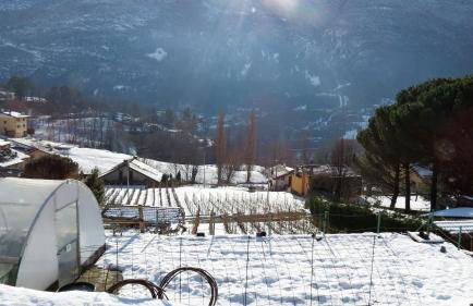 Lo Gnomo sotto al Glicine - Foto 23