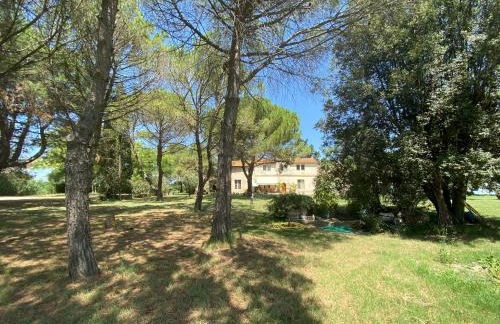 Mas Antonine Maison - Foto 33