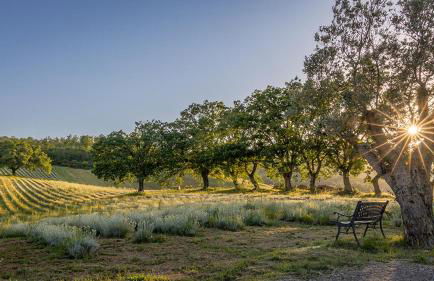 Il Poggio di Teo - Foto 21