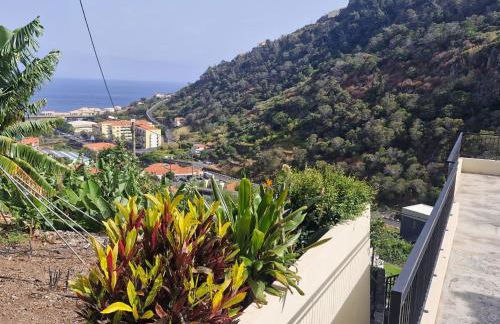 Ribeira Roots Residence - Foto 17