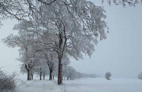Chalet Alba - Foto 67