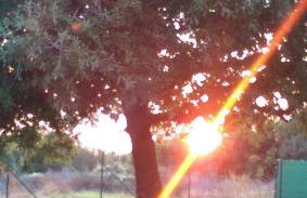 Holiday House Romi - Photo 17