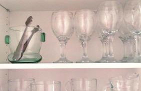 Raíz Azul 2 cerquita de Salinas - Foto 18