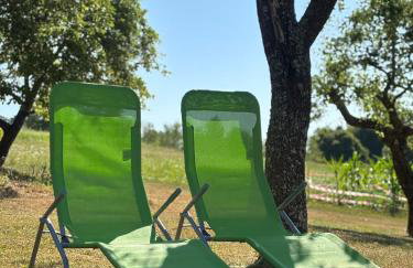 Apartment Jelena - Foto 31