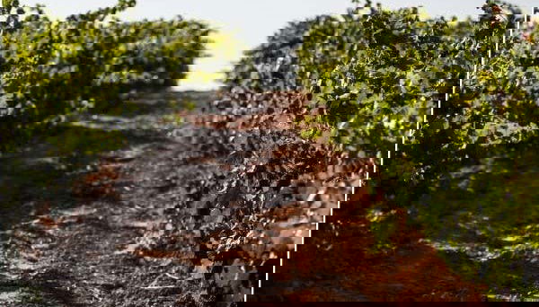 Tour in Fuensaldaña - Foto 2