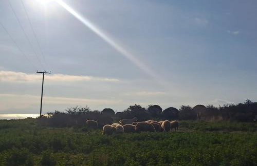 Seabreeze - Photo 13