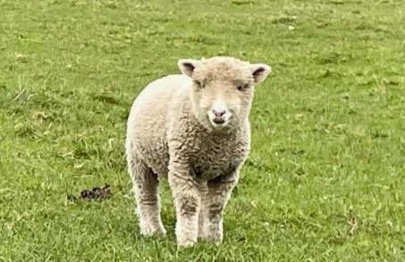 The Therapy Rooms Holmfirth Holiday Let - Foto 29