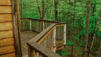 Treehouse in Maine woods- The Grand Oak - Foto 5
