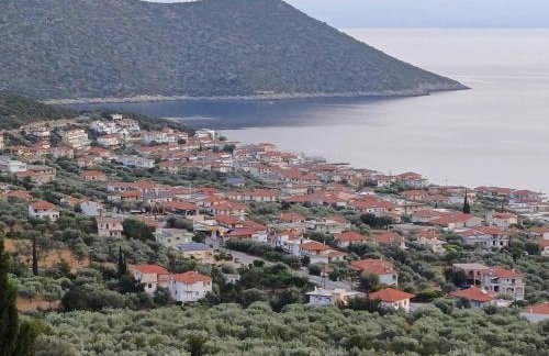 MATAS HOUSE - Foto 39