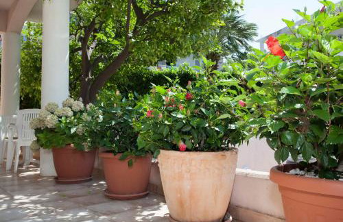 ApartHotel Villa Mozart - Foto 30