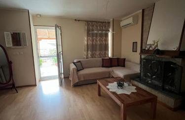 Lemon Tree - Photo 12